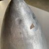 Cessna 180 & 185 2-Blade Spinner. Aluminum. Used Core - part number 0752042K200 (Cessna 180) (view 5)