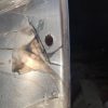 McCauley D 3419 Beechcraft Baron 3-Blade Spinner. Used - part number D (3419) (view 8)