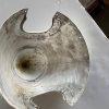 Cessna 206 & 210 2-Blade Spinner. Used - part number 1250415-2 or 1250909-3 (view 4)