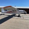 1955 Cessna Super 180. Completely Refurbished With Texas Skyways O-520F (view 4)