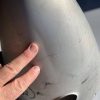 Piper PA38-112 Tomahawk Spinner With Forward Bulkhead. Used - part number 77710-06 or 553-590 (view 3)