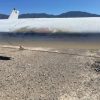1966 Cessna 172G. Project Aircraft ***SOLD*** (view 16)