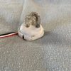 Whelen A610 Strobe Flashtube Assembly. Used - part number A610
