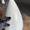 Cessna 206 & 210 2-Blade Spinner. Core - part number 1250909-3 (view 3)