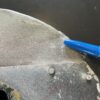 Cessna 150 Spinner Aft Bulkhead. Used - part number 0450040-1 (view 2)